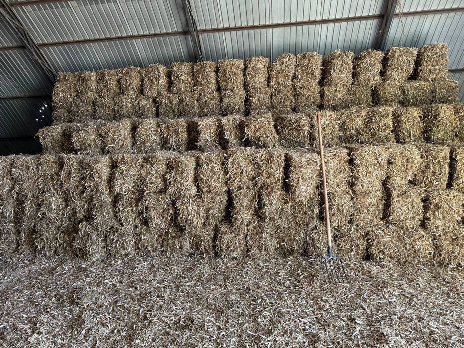 Ловия пучок.Ловия пояси.Пресс килинган.Мол куй зур ейди