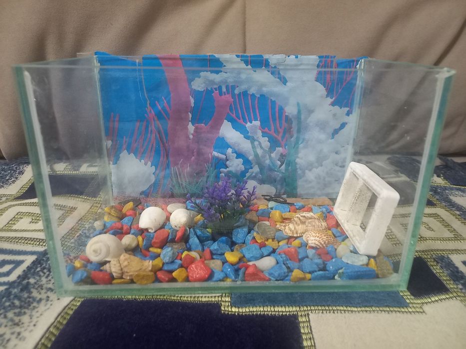 Продам 5л аквариум