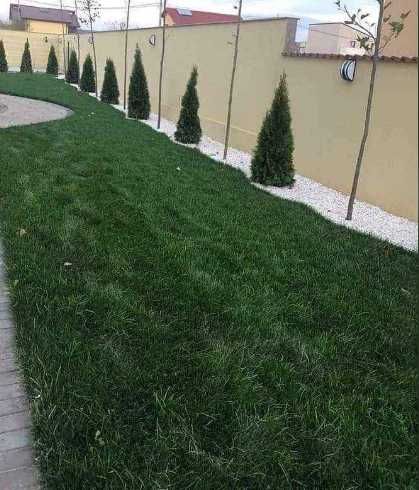 Gazon rulou Insamantare si sisteme de irigatii