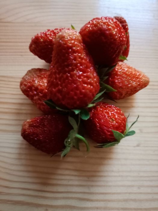 Продам разные саженцы