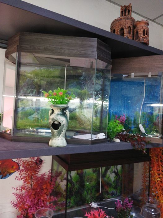 Аквариум 60л в Афалине