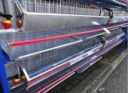 Cusca prepelite complet dotata