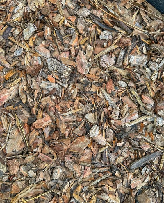 Боров мулч за градина