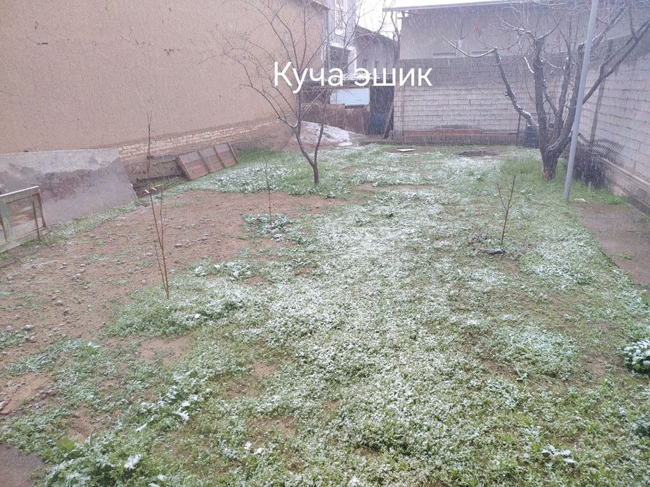 Рохат кругида яшнобот котта олмос 2 туп 1.5 сотих ер сотилади коча юзи