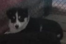 Самым заботливым и добрым.