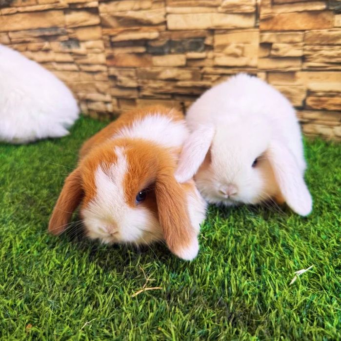 Подарок для детей