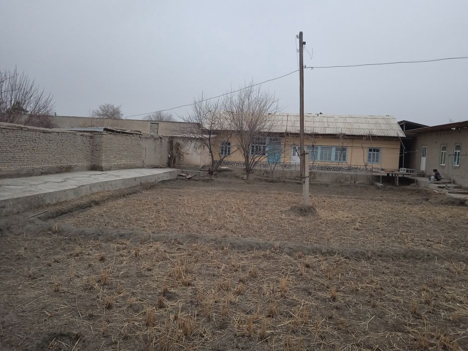 Hovli sotiladi 12 sotix