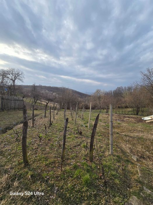 Casa de vanzare in Seciu, Prahova