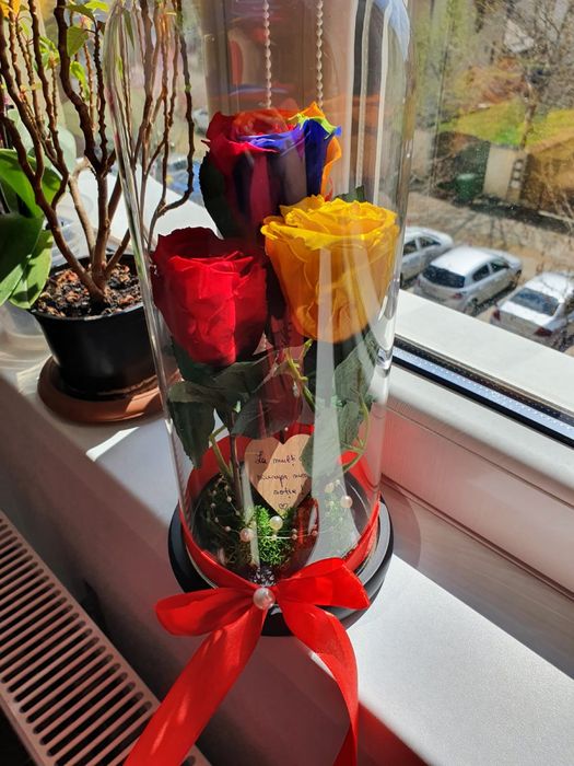 Trandafir galben criogenat conservat in cupola de sticla