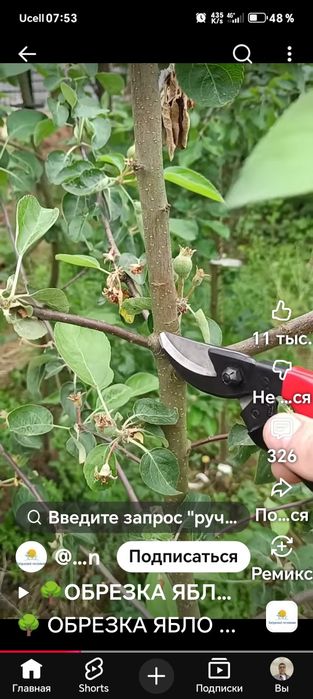Все садовые работы