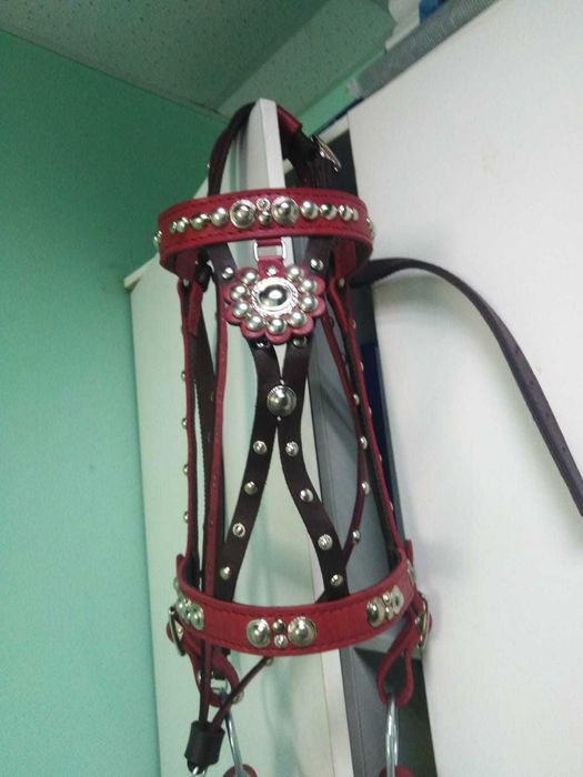 Узда парадная для лошади