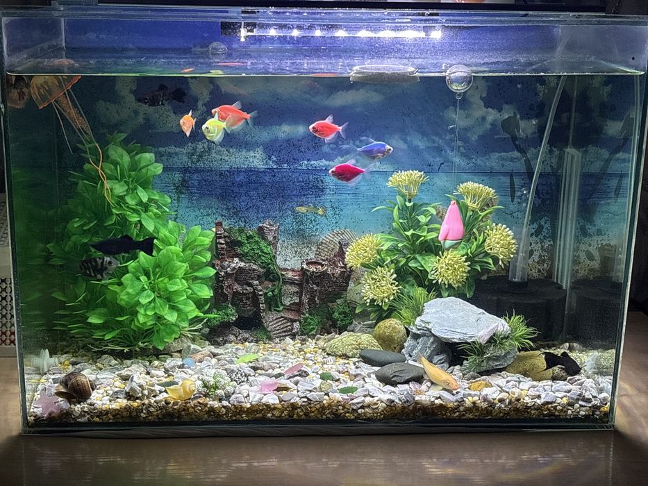 Продам аквариум 80 литов объем.