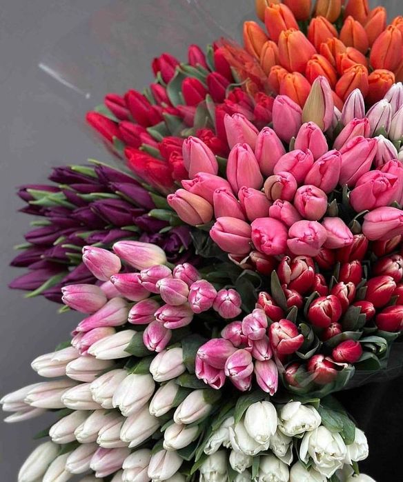 Букеты тюльпанов,цветы на праздник