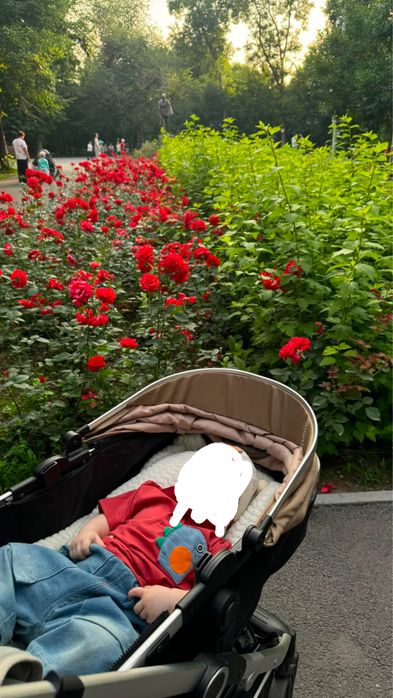 Детская коляска с автокреслом