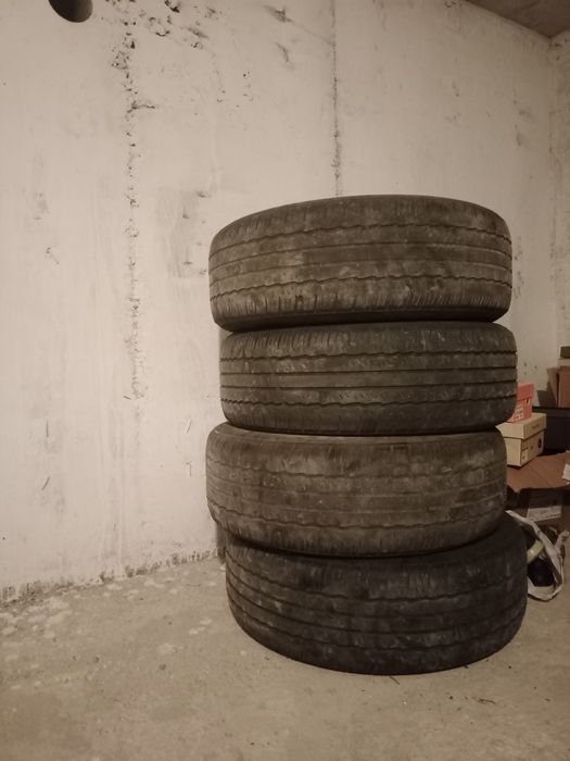 Продам хороший ризины