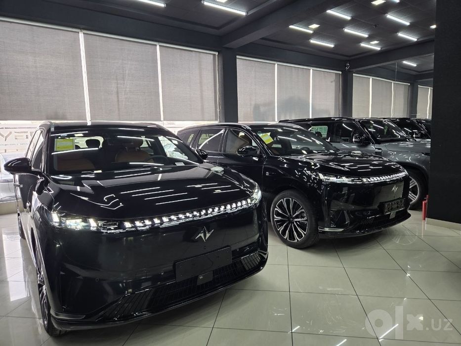 Dongfeng EP 008 MAX ULTRA 2015 YIL