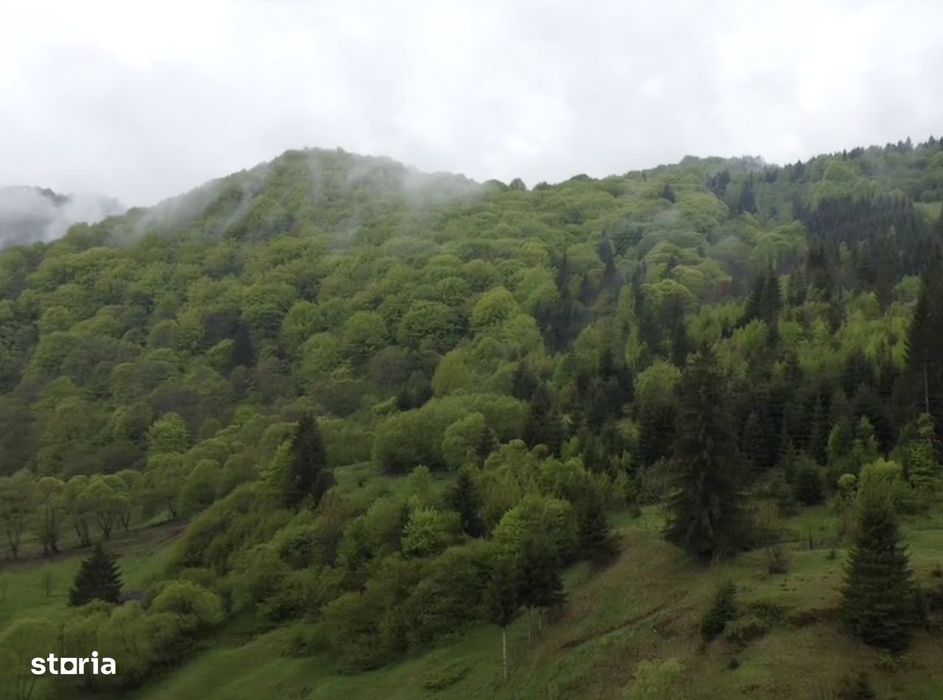 Teren intravilan 7.228 mp cu construcții, Sătic-Rucăr, Argeș