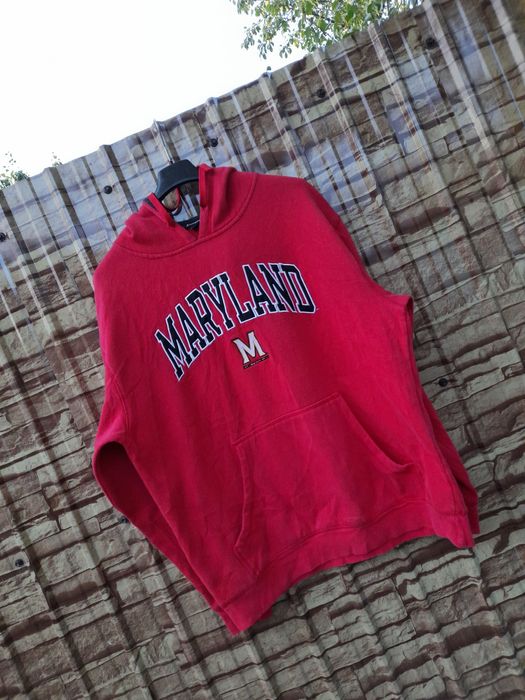 Doua Hanorace Champion