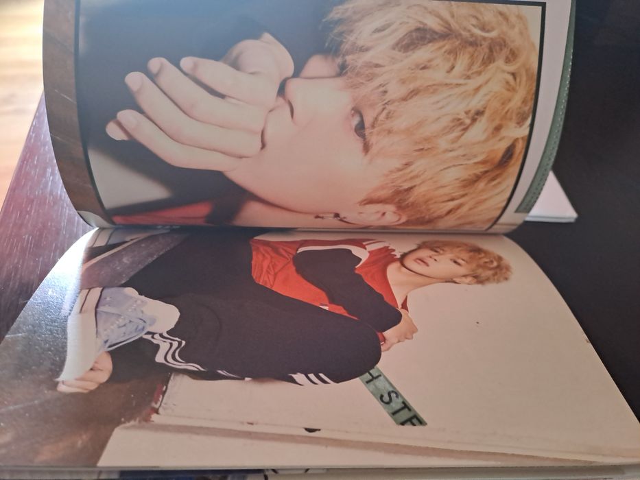 BTS Love Yourself Her V version