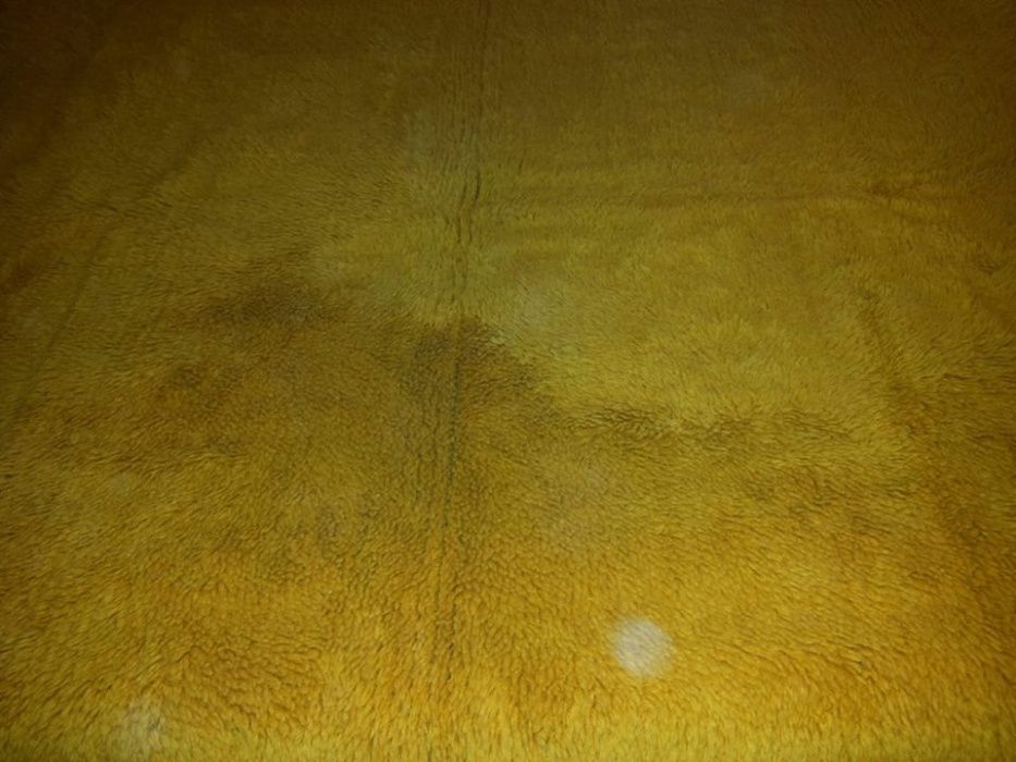 Китеници в различни цветове