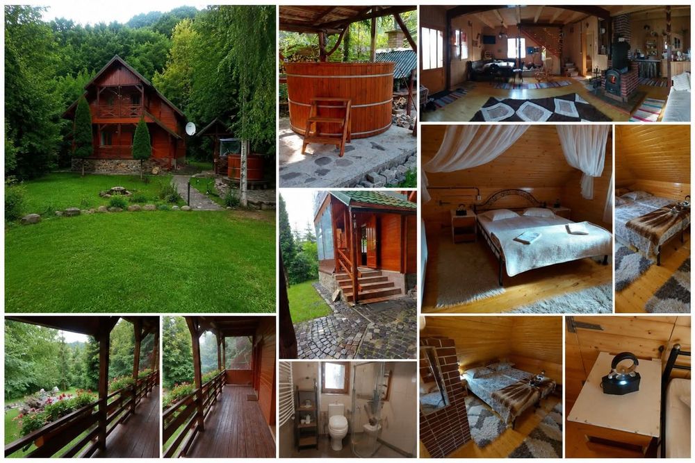 Casa de vacanta/cabană din lemn in Bucin