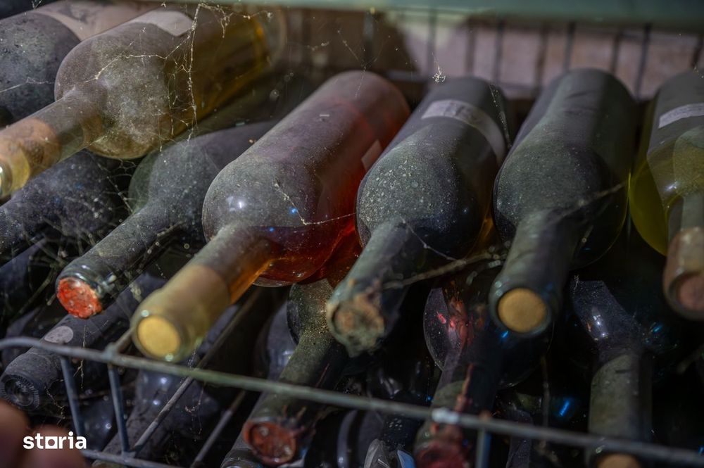 Cramă Premium De Vânzare -60 Ha- Conac Istoric- Podgoria Drăgășani