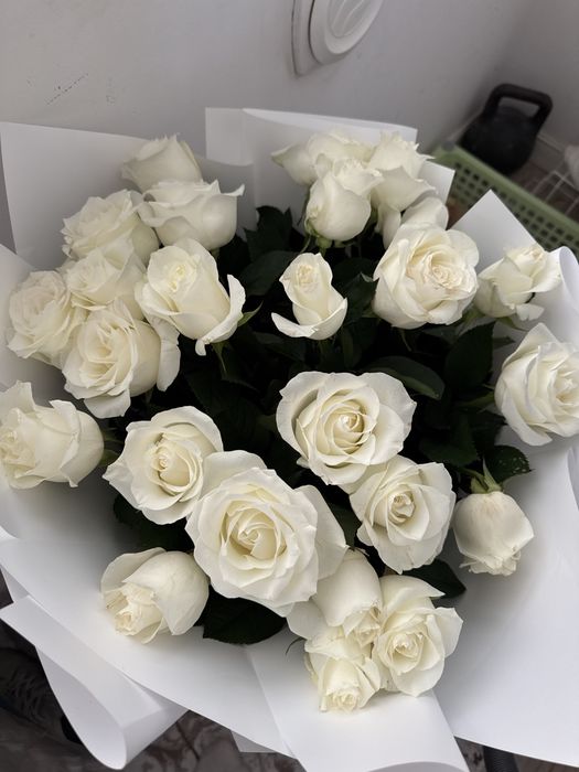 Белые розы 25 шт