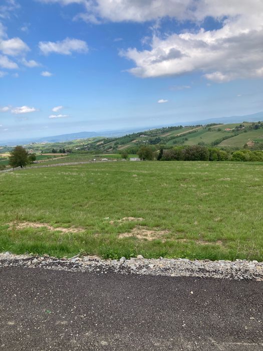 Teren intravilan in Șinteu 3 Ha