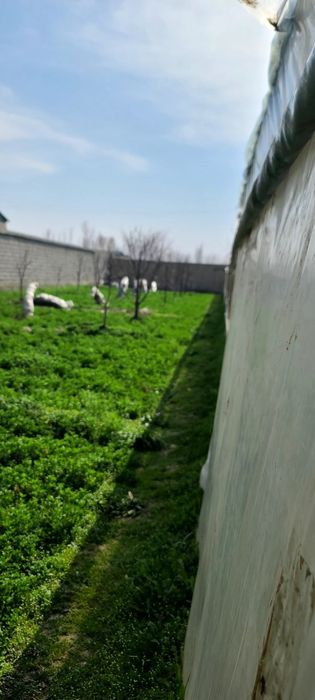 Yer uchaska sotiladi