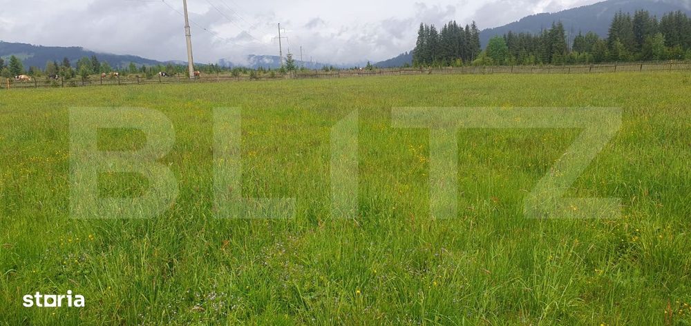 Teren extravilan, 6200 mp, zona Saru Dornei - Vatra Dornei