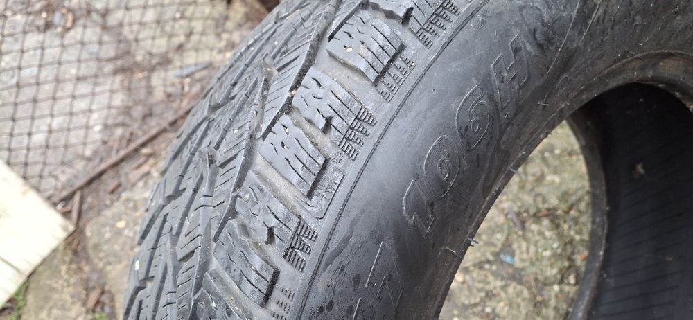 Anvelope iarna Tigar