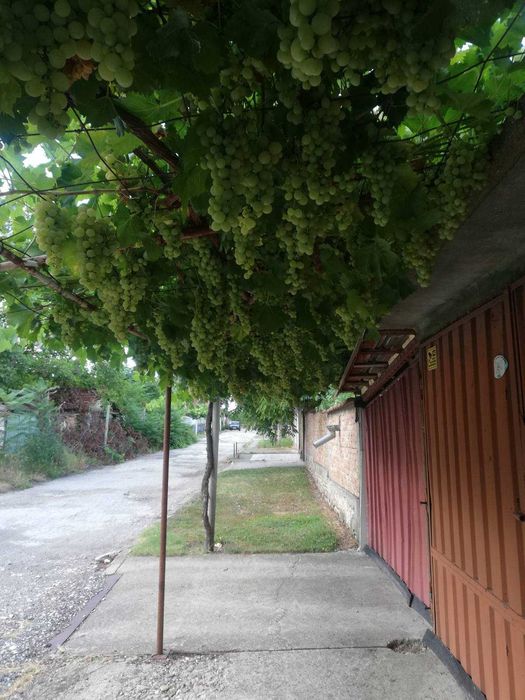 Продава се Къща в с. Згалево, Област Плевен - 120 кв.м за 595 €/кв.м - Снимка #3