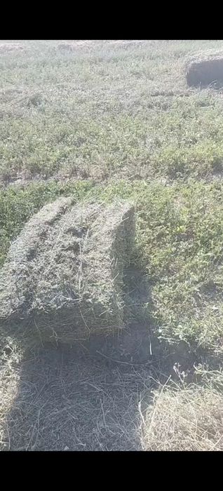 Жонышка 1400 тенге