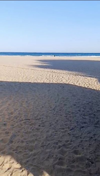 Дава се под наем Двустаен апартамент в к.к. Слънчев бряг - 45 кв.м за 81.6 € - Снимка #13