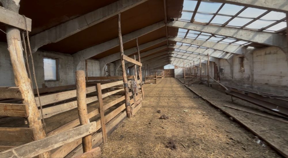 Фазенда / Готовый Бизнес