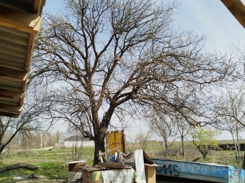 Продаётся дом с участком