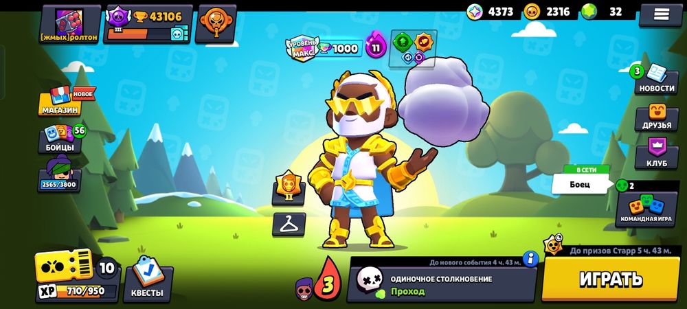 Бравл ак с гарантом