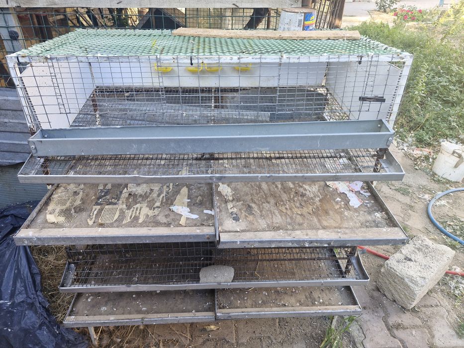 Клетка для перепелки