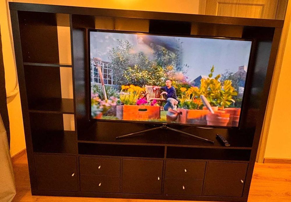 Vand TV Samsung 60 inch (152cm) UE60F6100AW