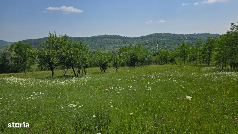 Teren de vânzare 6.352 mp – Slavu (Prahova), extravilan, drum de câmp