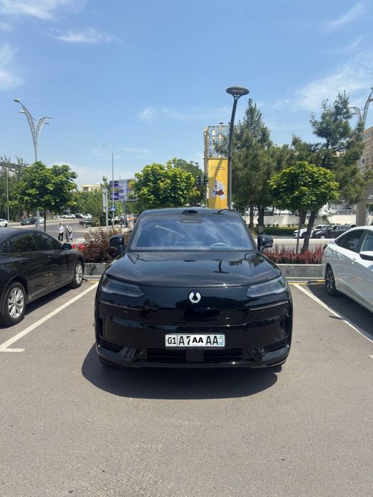 Denza N 9 flagship full 2025