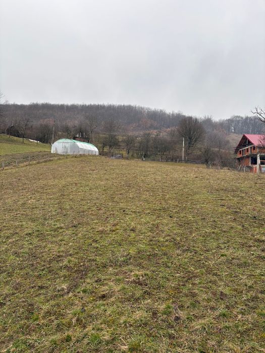 Vand teren intravilan Suncuius