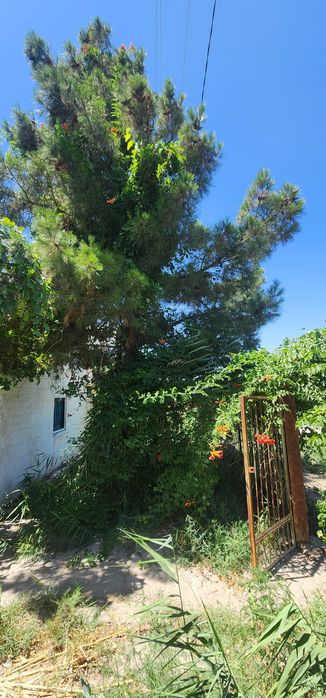 Продаётся дачный участок