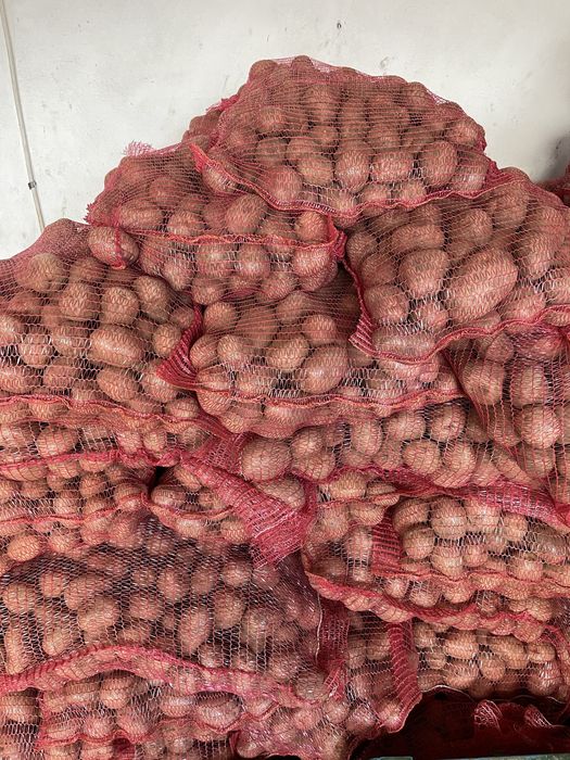 Cartofi consum si animale