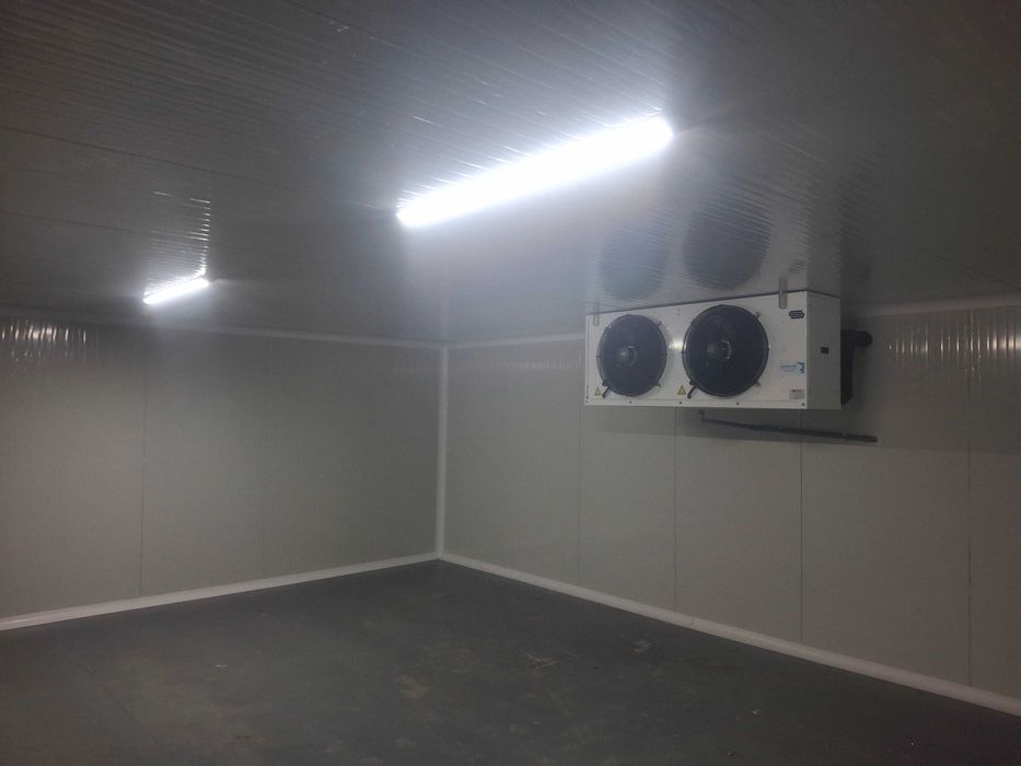 Camere frigorifice profesionale – soluția completă pentru afacerea ta