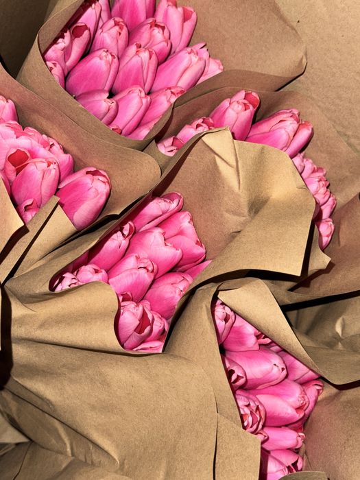 Тюльпан крупный для близких и коллег