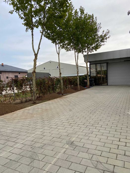 Închiriere Hală / Spațiu Comercial 300 mp – Showroom, Depozit, Producție – Alexandria / Poroschia