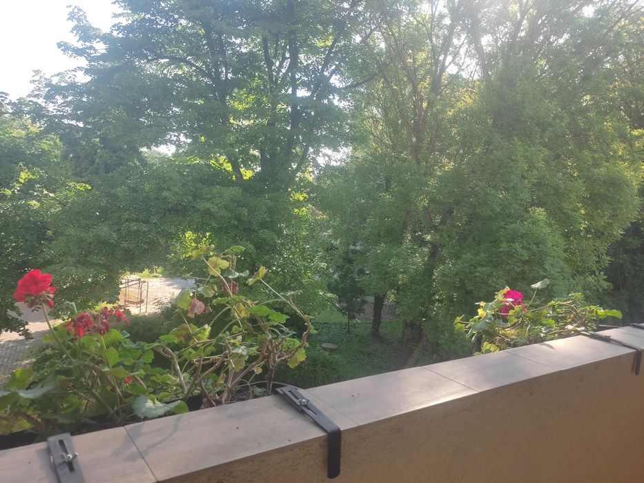 Дава се под наем Едностаен апартамент в Добрич, Център - 30 кв.м за 193.8 € - Снимка #3