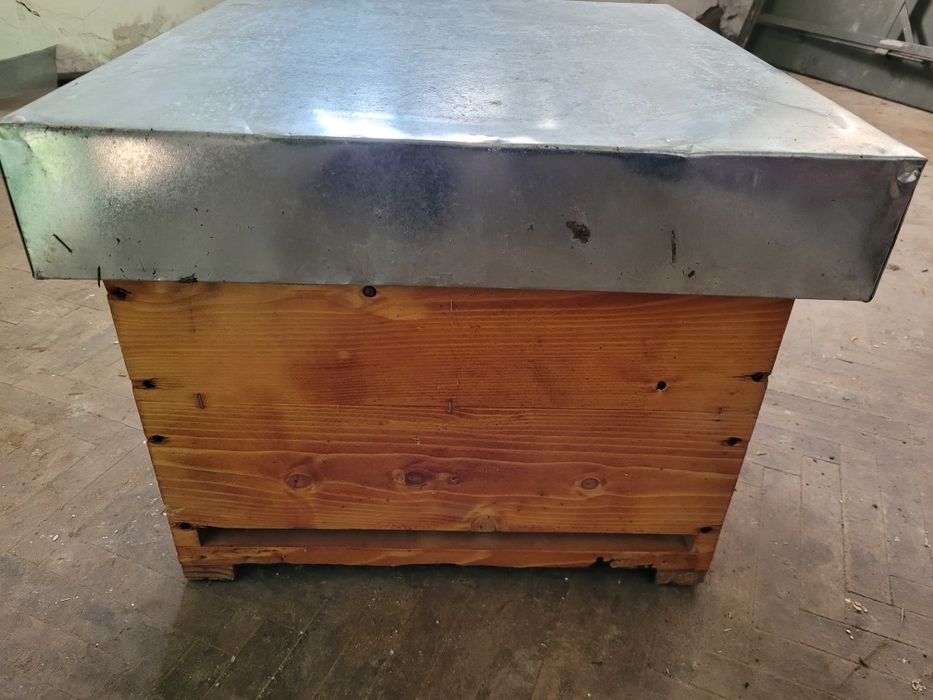 Vand 30 de stupi pt albine