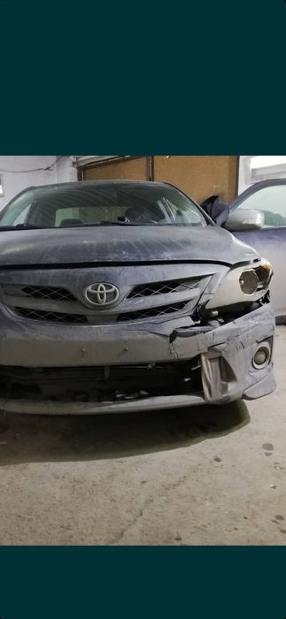 Не дорого костоправ маляр